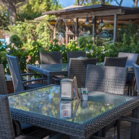 Otel Vina Del Mar Pineta 4*