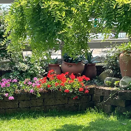 Hotel Vina Del Mar Pineta