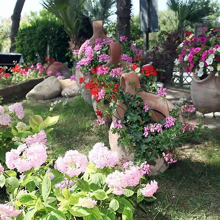 Hotel Vina Del Mar Pineta Lido di Jesolo