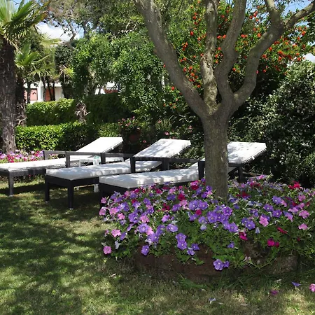 Vina Del Mar Pineta Hotel Lido di Jesolo