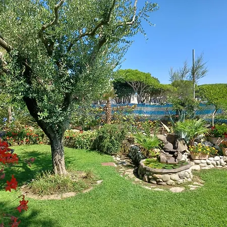 Vina Del Mar Pineta Hotel Lido di Jesolo