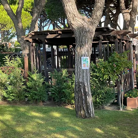 Vina Del Mar Pineta