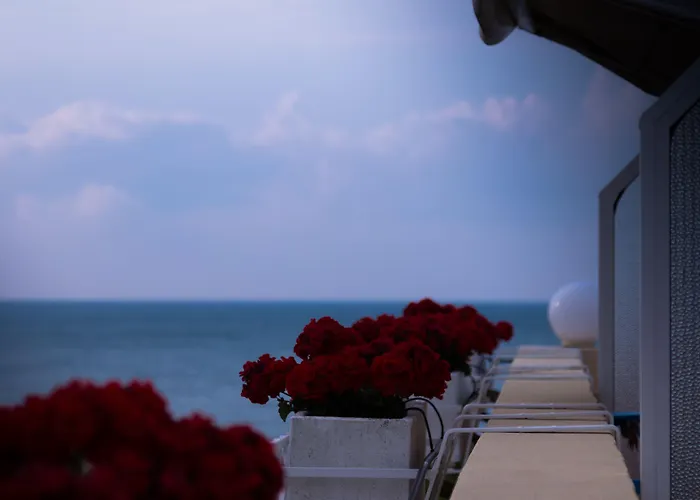 Hotel Vina Del Mar Pineta