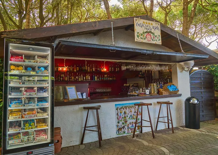 Hotel Vina Del Mar Pineta